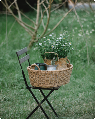 Outdoor & Gardens