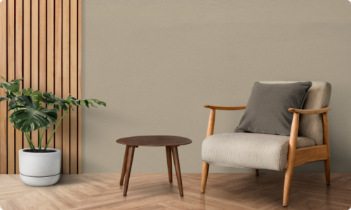 Home Décor & Furniture